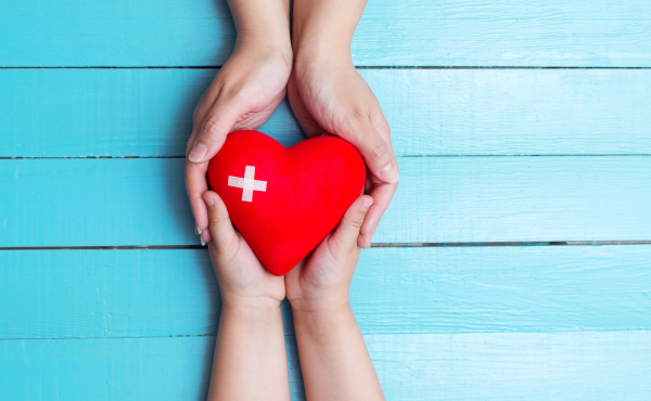 hands holding a heart